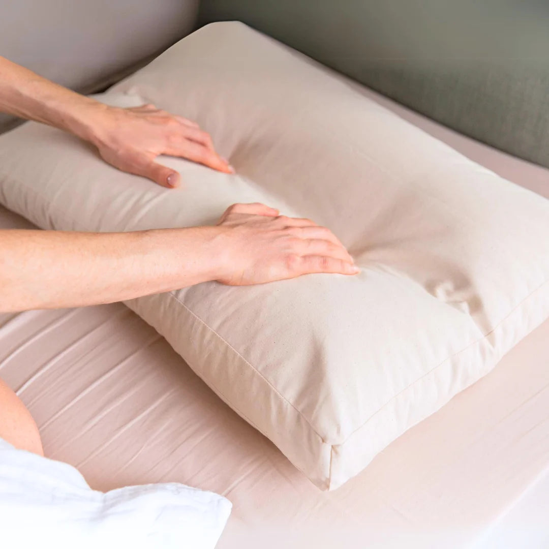 Cover Only Organic Buckwheat Hull Pillow - 100% Cotton