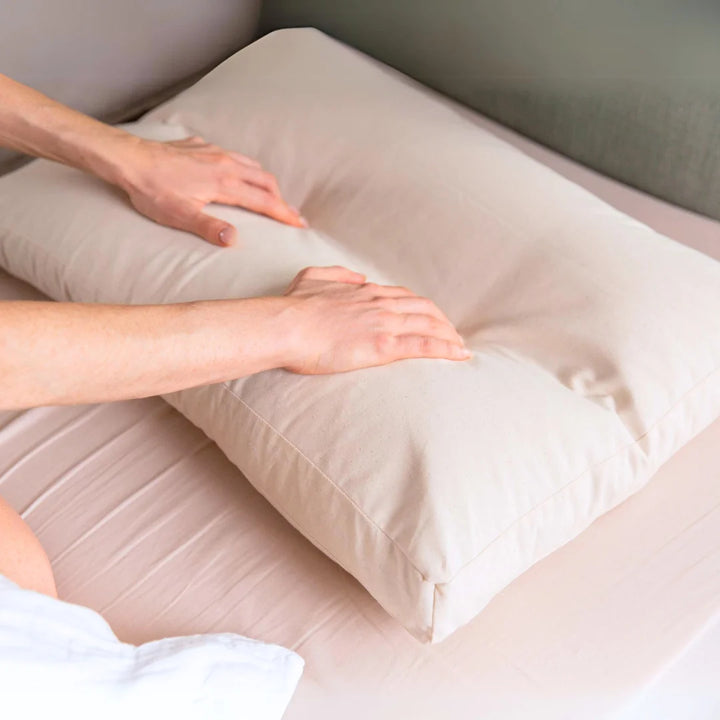 Cover Only Organic Buckwheat Hull Pillow - 100% Cotton