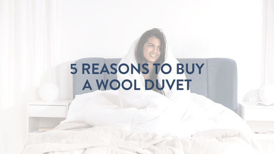 5 raisons d'acheter une couette en laine 