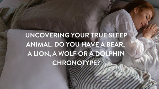 Du crépuscule à l'aube : découvrez votre véritable animal endormi. Avez-vous un chronotype ours, lion, loup ou dauphin ?