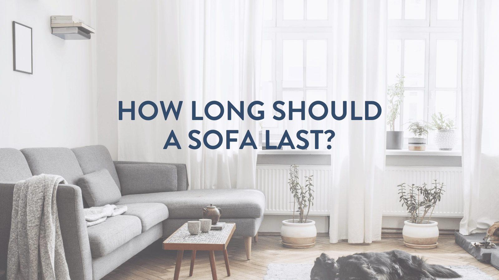 How long should a sofa last? sofa cushion refilling saggy foam feather fibre filling upholstery cleaning maintaining