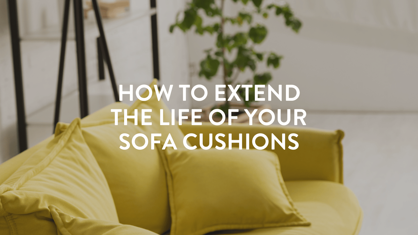How to extend the life of your sofa cushions.