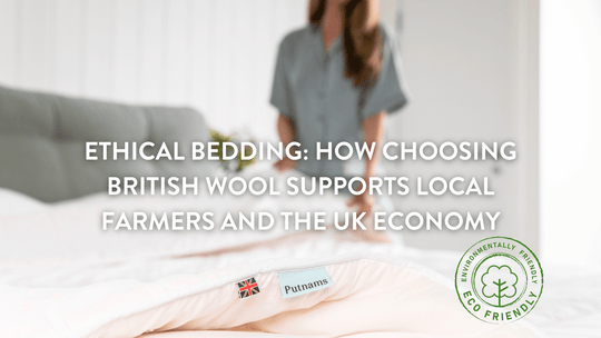 Literie éthique : comment choisir la laine britannique soutient les agriculteurs locaux et l'économie britannique 