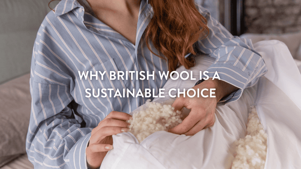 Why British Wool Is a Sustainable Choice