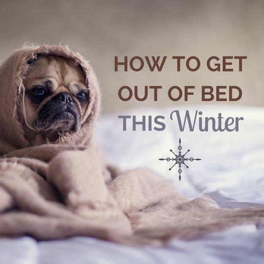 Comment sortir du lit par une froide matinée d'hiver 