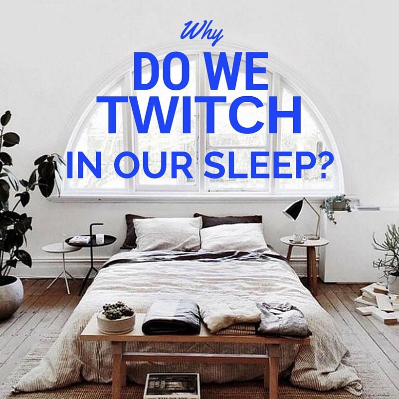 Why do we twitch in our sleep? | Putnams