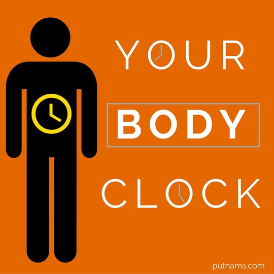 Votre horloge biologique : comment la régler Informations sur le sommeil 