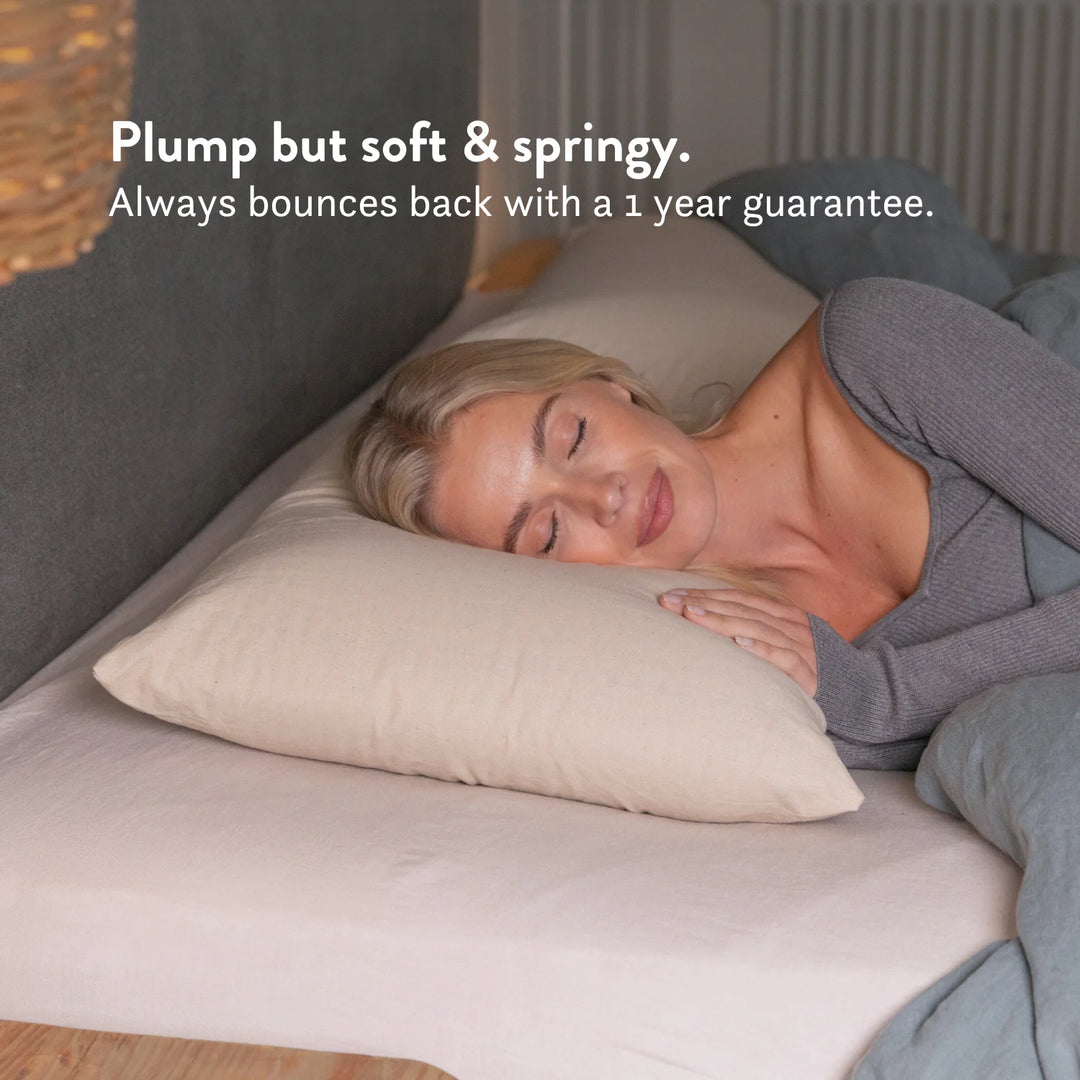 Graphite Latex Pillow - Natural foam pillow alternative soft bouncy supportive cooling 100% cotton undyed unbleached cover 