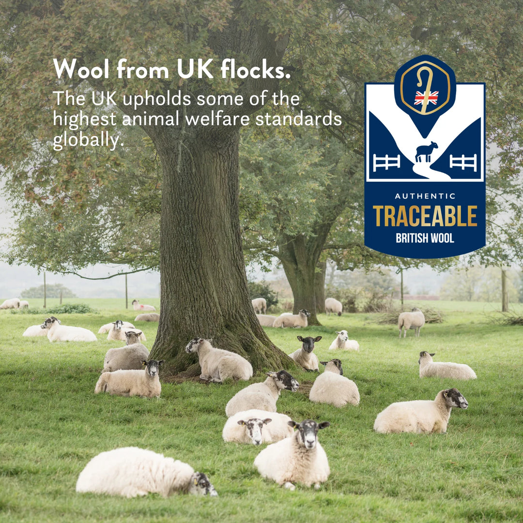 V Shaped British Wool Pillow - 100% Cotton Cover - Natural height adjustable OEKO-tex standard 100 Wool from UK sheep the UK has some of the highest welfare standards globally. Authentic traceable British wool.