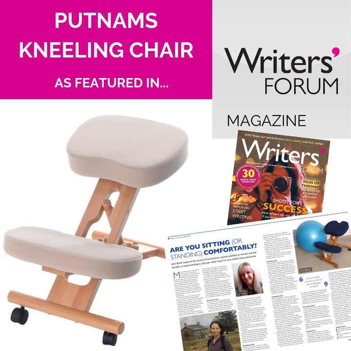 Coccyx Posture Chair - Putnams